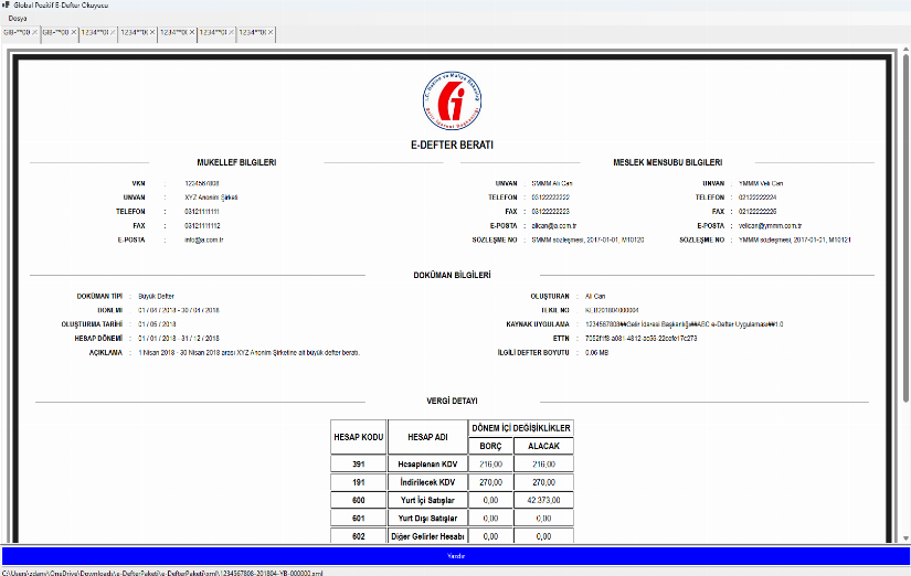 Global Pozitif E-Defter Görüntüleyici
