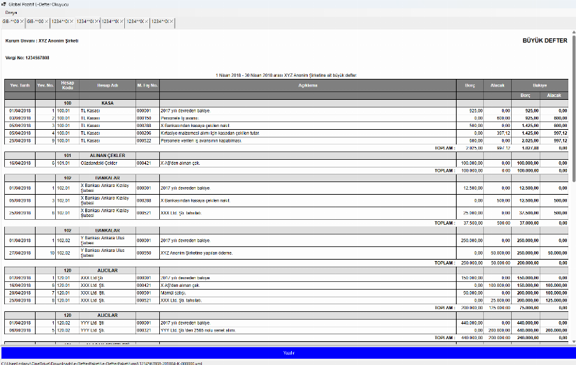 Global Pozitif E-Defter Görüntüleyici
