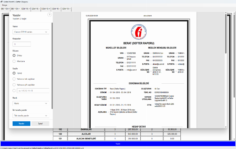 Global Pozitif E-Defter Görüntüleyici
