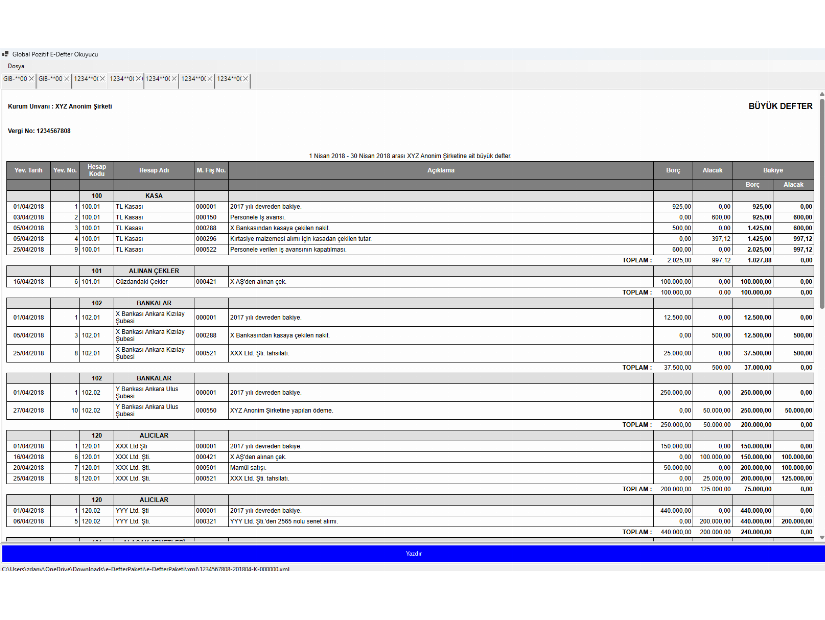 Global Pozitif E-Defter Görüntüleyici