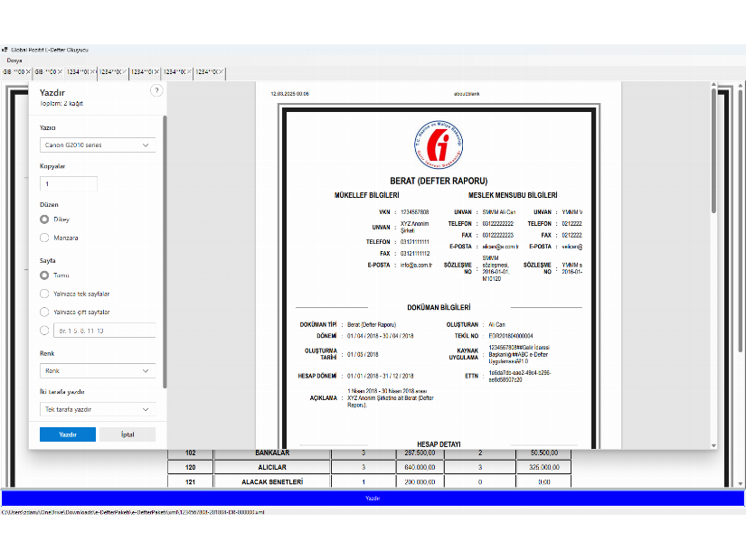 Global Pozitif E-Defter Görüntüleyici